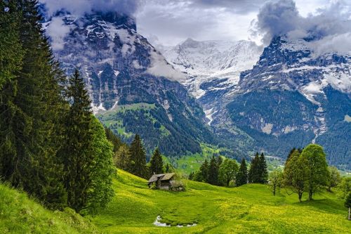 Kashmir