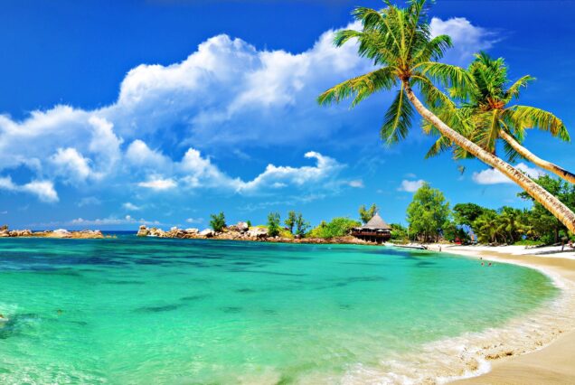 Goa 2 Night and 3 Days